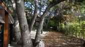 Enlarge photo 50