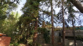 Enlarge photo 52