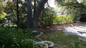 Enlarge photo 61