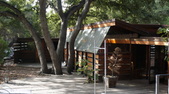 Enlarge photo 62
