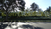 Enlarge photo 40