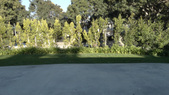 Enlarge photo 34