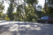 Enlarge photo 103
