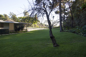 Enlarge photo 99