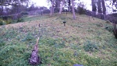 Enlarge photo 72