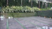 Enlarge photo 75