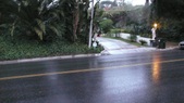 Enlarge photo 81
