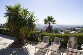 Enlarge photo 56