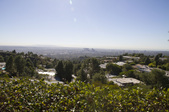 Enlarge photo 62