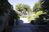 Enlarge photo 66