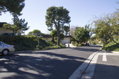 Enlarge photo 75