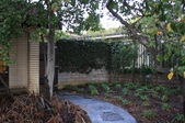 Enlarge photo 33