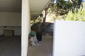 Enlarge photo 73
