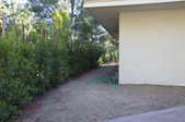 Enlarge photo 77