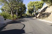 Enlarge photo 84
