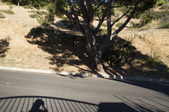 Enlarge photo 86