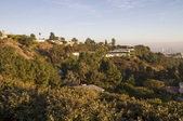 Enlarge photo 73