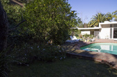 Enlarge photo 49
