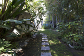 Enlarge photo 67