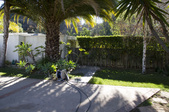 Enlarge photo 74