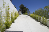 Enlarge photo 58