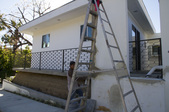 Enlarge photo 60