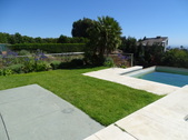 Enlarge photo 51