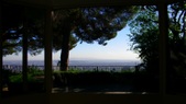 Enlarge photo 60