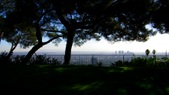 Enlarge photo 65