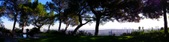 Enlarge photo 66