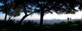 Enlarge photo 67
