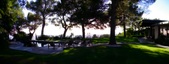 Enlarge photo 71