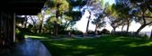Enlarge photo 73