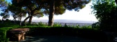 Enlarge photo 74