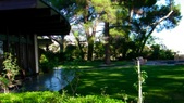 Enlarge photo 77