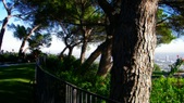 Enlarge photo 78