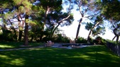 Enlarge photo 81