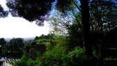 Enlarge photo 83