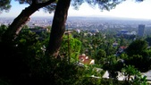 Enlarge photo 84