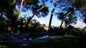 Enlarge photo 85