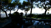 Enlarge photo 87