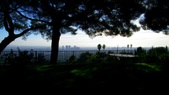 Enlarge photo 91