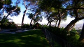 Enlarge photo 94