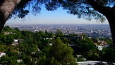 Enlarge photo 95