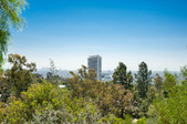 Enlarge photo 76