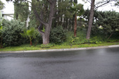Enlarge photo 71