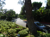 Enlarge photo 79
