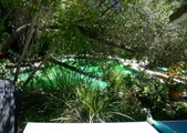 Enlarge photo 76