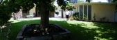 Enlarge photo 117