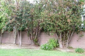Enlarge photo 54